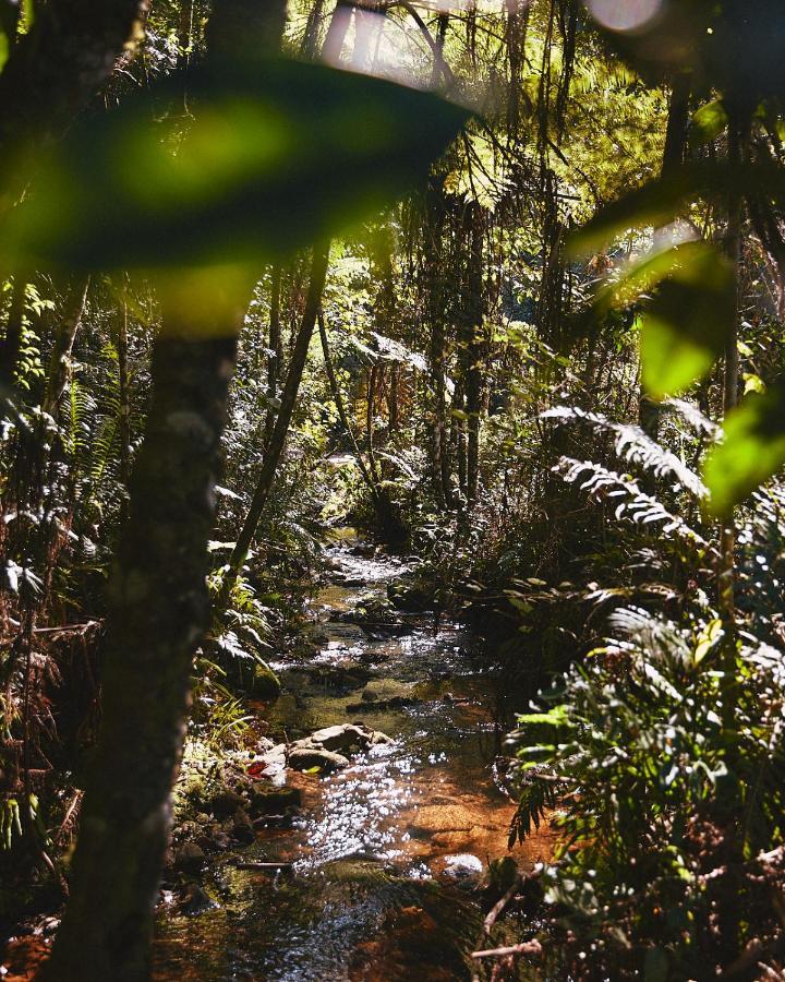 Pousada Do Cedro Santo Antônio do Pinhal 外观 照片